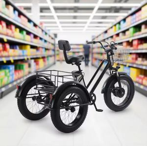 Electric Tricycle for Adults, 20 * 4.0" <b>Fat</b> Tires E-Mountain <b>Bike</b> with 48V 12Ah Removable Battery, 350W Motor, Professional - Product Image 1