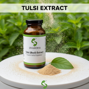 Poudre d'extrait sec de Tulsi finement traitée pour la production en vrac de produits à base de plantes et nutritionnels - Product Image 2