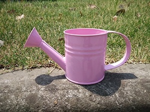 อุปกรณ์รดน้ำโลหะชุบสังกะสีเคลือบสีธรรมชาติงานแฮนด์เมดอุปกรณ์สวนเหล็กสำหรับใช้กลางแจ้งในบ้าน - Product Image 2