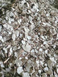 EXQUISITO <span class=keywords><strong>TAPIOCA</strong></span> BLISS: <span class=keywords><strong>CHIPS</strong></span> <span class=keywords><strong>TAPIOCA</strong></span> CRUNCHY GOURMET - Product Image 5