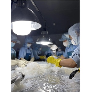 Cubo Natural Nata De Coco DE FÁBRICA DE Vietnam, pudín de gelatina de coco saludable, corte de 3mm, bolsa de taza de tamaño personalizado, precio razonable - Product Image 2