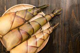 PREMIUM BAMBOO <b>SHOOT</b> for MEAL // 100% BAMBOO NATURAL // BEST <b>PRODUCT</b> for HEALTH - Product Image 2