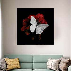 Impression sur toile d'un élégant papillon blanc sur une fleur rouge, encadrée pour galerie - Product Image 1
