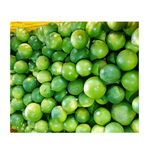 มะนาวเขียวสดคุณภาพส่งออกจากเวียดนาม-มะนาวไร้เมล็ดฉ่ำสำหรับอาหารน้ำผลไม้ผักดอง-มีจำนวนมากจำหน่าย - Product Image 5