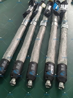 Tuyau chauffant électrique personnalisé de 1/2 pouce avec tube intérieur en PTFE pour équipement industriel spécial 230 ℃   Haute pression