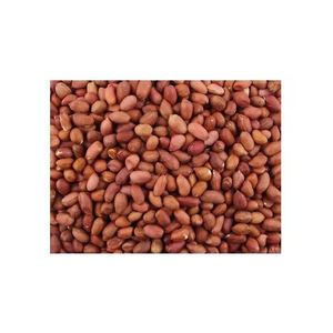 Nueces de cacahuetes crudas baratas al por mayor que empaquetan granos de cacahuetes secos a granel - Product Image 4