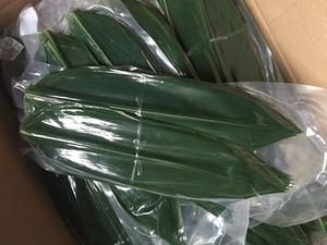 Feuilles de bambou sèches de grande taille Origine Vietnam 40 cm de longueur 25 kg/sac Certifié ISO Appel direct +84984418844 - Product Image 5