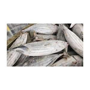 Bulk supply <b>frozen</b> skipjack wholesale cheap price ocean <b>frozen</b> fish for export - Product Image 6