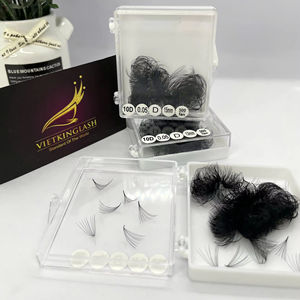 Ultra Black 10D <b>Premade</b> <b>Fans</b> Eyelash Extensions 0.05mm C D Curl Flat Base Volume Lashes Custom Logo Lash Packaging - Product Image 1