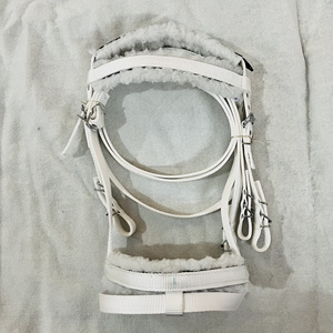 Bridon de cheval personnalisé de 20 mm, couleur personnalisée, bride, rênes, mors amovible, licol en nylon pour l'équitation, PP - Product Image 1