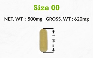 Capsules ayurvédiques naturelles d'Ashwagandha Extrait de plante Supplément de bien-être à base de plantes Fabriqué en Inde Supplément adaptogène - Product Image 5