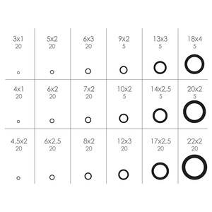 Kit di O-Ring da 225 Pezzi - Product Image 3