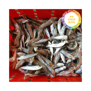 100% Bahan Alami - Ikan Herring Kering Vietnam Seafood dengan Harga Murah dan Kualitas Premium