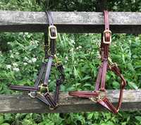 Beval Ltd Showman Halter Plié