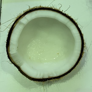 Style frais de noix de coco sèche du fabricant vietnamien avec variété de fruits tropicaux de coquille pour l'emballage de nourriture dans le carton fabriqué en Asie-Vietnam - Product Image 6