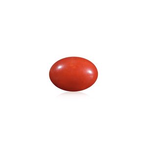 Perles de corail rouge de 9,87 carats, bijoux en os de coquillage et en corail - Product Image 1