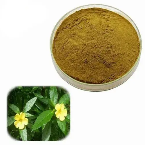 Bulk Quantity and High Quality Damiana Extract Damiana Seeds Powder Supply From India From Isar International LLP