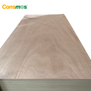 Madera de Okoume, Bintangor, Cedro Lápiz, Pino, <span class=keywords><strong>Abedul</strong></span>, Sapeli, Álamo, 1220*2440 mm, E0, Moderna, Ecológica, 1 Año de Garantía, <span class=keywords><strong>Abedul</strong></span> Comercial - Product Image 2