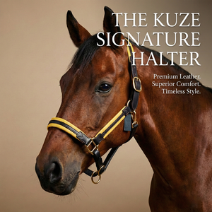 Harnais de cheval en cuir indien de qualité supérieure, rembourrage jaune doux, nezier rembourré, couronne réglable, quincaillerie en laiton, personnalisable, confortable - Product Image 3