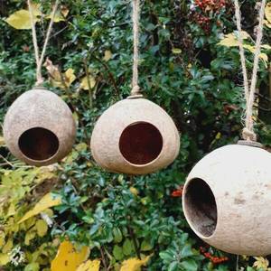 บ้านนกมะพร้าวของเล่นนกแก้วที่เป็นมิตรต่อสิ่งแวดล้อมพร้อมสลักเลเซอร์ - Product Image 6
