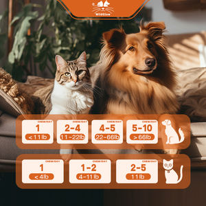 Sindirim enzimleri ile hiçbir Poo yumuşak çiğniyor Coprophagia dışkı köpekler için caydırıcı yeme köpek Eating yeme önlemek - Product Image 4