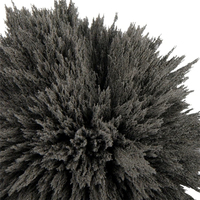 Poudre magnétique Poudre forte Neodymi NdFeB Poudre néodyme fer bore