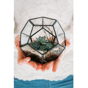 Vase en verre transparent au design moderne, finition noire, parfum naturel, décoration de table de terrarium pour jardin ou plante - Product Image 4