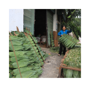 Venta caliente de hojas de bambú de gran tamaño para exportar desde Vietnam a buen precio - Product Image 1