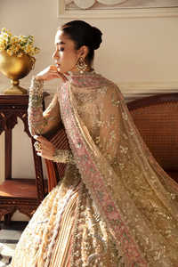 Vestido Largo de Gala con Encaje de Chifón de Lujo, Cristales, Volantes Bordados y Adornos para Mujer, Estilo Pakistaní Indio, para Fiestas Formales - Product Image 4