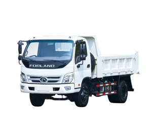 LISTO PARA ENVIAR Camión Volquete Ligero Diésel Manual 4x2 con Volante a la Derecha (RHD) y Volquete, Segmento de Camiones Pesados 8x4 - Product Image 1