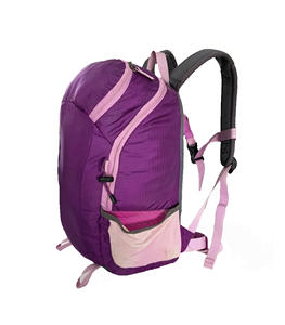 Sac à dos pour ordinateur portable unisexe léger avec doublure en nylon haute résistance, mini sac à dos de sport avec fermeture éclair, imperméable, pour la randonnée en plein air, en vente - Product Image 4