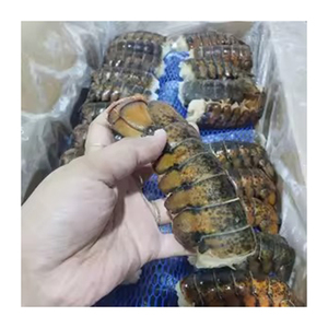 กุ้งมังกรดิบแบบเต็มตัวจากแคนาดาคุณภาพ UHP ราคาถูกเหมาะสำหรับโอกาสการจำหน่ายสินค้าจำนวนมาก - Product Image 4