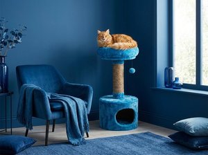 Casa para Gatos Fiona Azure Nest con Comodidad Suprema, Piel Sintética Ecológica y Cartón Resistente - Product Image 2