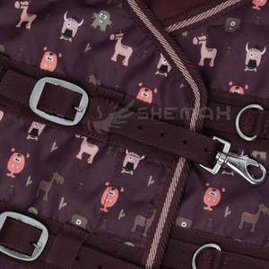 Alfombras impermeables transpirables de invierno de caballo de producto de equipo al por mayor de último diseño a precio razonable - Product Image 2