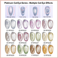 R S Nail Wholesale Hema Free Platinum Cat Eye Gel 12 Couleurs Holographic Glitter Shimmer Magnet Gel Polish