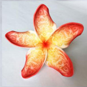 LG18: Red yellow center red dot