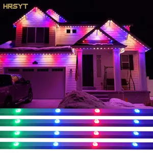 HRSYT 2904 Landscape Pixel LED point light RGB/RGBW DC48V DC24V Outdoor Holiday Decoration Dot LED Permanent Christmas Light