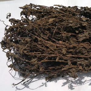 Hierba de Gelatina Seca de Alta Calidad/ Ingrediente Tradicional Vietnamita para Gelatina Herbal y Bebidas de Verano/ Sra. Lima - Product Image 1