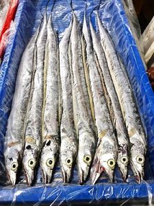 Poisson ruban congelé de haute qualité en gros |   Poisson ruban congelé en mer IQF pour l'exportation - Product Image 3