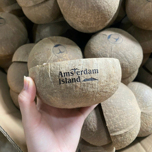 Venta al por mayor de cuencos de cáscara de coco/juego de cuencos y cucharas de coco naturales/cuencos para batidos de Buda para ensalada hechos en Vietnam - Product Image 4