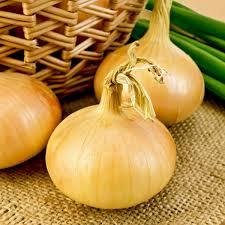 Organic Yellow <b>Onions</b> Premium Quality New Crop <b>Fresh</b> Golden <b>Onions</b> Wholesome Healthy Yellow <b>Onions</b> Price - Product Image 2