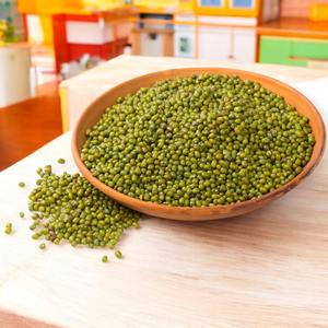 Organic Green Mung <b>Beans</b> Dried Style in Bulk Packaging Product Category <b>Vigna</b> <b>Beans</b> - Product Image 2