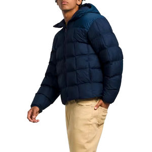 Veste d'hiver décontractée pour hommes, tissu en toile à col montant ultraléger et à capuche brillant de grande taille pour l'extérieur High Street - Product Image 3