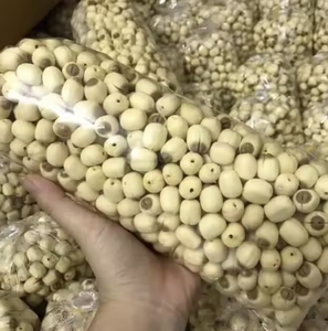 Graines de lotus séchées de qualité supérieure, pelées et prêtes à être expédiées - Product Image 6