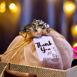 Sac Potli Double couche en soie d'affaires minimales pour mariage Diwali pochettes cadeaux sacs pochette de créateur - Product Image 4