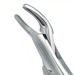 REHMAT NOOR INDUSTRY RN-WTEF-001 Fórceps Curvos para Dientes de Lobo Equinos de Acero Inoxidable, Extractor Dental Veterinario para Incisivos de Caballos - Product Image 3