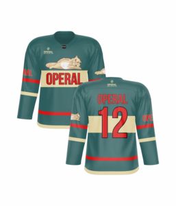 Maillots de hockey sur glace rétro personnalisés, vêtements d'équipe de sport rétro, polyester, avec design imprimé par sublimation - Product Image 2