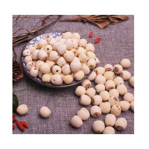 Vente en gros de graines de lotus premium Vietnam, coeurs de lotus séchés naturels parfaits pour la nourriture, le thé de sommeil et l'exportation dans le monde entier - Product Image 4