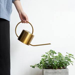 PIONEERA 不锈钢喷壶 木柄长喷嘴 1.3L 容量-耐用轻便经典现代家居装饰 - Product Image 2