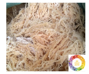 Mousse de mer séchée en vrac Eucheuma Cottonii Algues irlandaises du Vietnam Mousse de mer dorée et blanche de qualité supérieure sans sel à exporter - Product Image 1